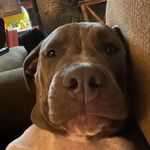 Derrick Watson - @_derrick_watson_ - Instagram