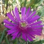 Derrick Arndt - @derrickarndt - Instagram