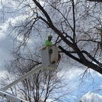 Derrick Bates - @learning_the_tree_life_bates - Instagram