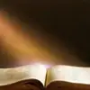 Derrick Beene695 - @derrickbeene695 - TikTok