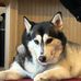 Derrick Belcher - Facebook