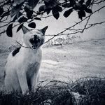 Derick Bentley - @derickbentley - Instagram