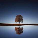Derrick Bentley - @youmayrelaxhere - Instagram