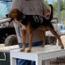 Derrick Bolin - Facebook