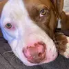 Derrick.Mosley190 - @derrickmosley190 - TikTok