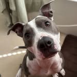 Derrick Bowen - @d_bo_diggity - Instagram