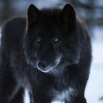 @derrick_boyers19 - Instagram