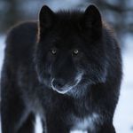 @derrickboyerss19 - Instagram