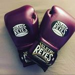 Derrick Braun Sr. - @boxfan1972 - Instagram