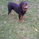 Derrick Braxton - @derrickbraxton1 - Instagram