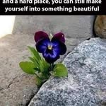 Derrick Burchell - @derrickburchell61 - Instagram