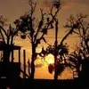 derrickcarr00 - @derrickcarr00 - TikTok