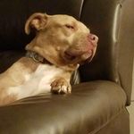 Derrick Chandler - @dac_410 - Instagram