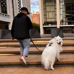 Derrick Chin - @dchin2 - Instagram