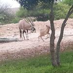 Derick Coetzee - @derick.coetzee.334 - Instagram