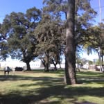 Derrick Collier - @derrick.collier.902 - Instagram