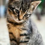Derick Crider - @derickcrider - Instagram