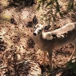 Derrick Drummond - @droc120 - Instagram