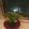 Derrick Kearley - @derrick.kearley3 - TikTok