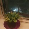 Derrick Kearley - @derrick.kearley3 - TikTok