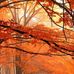 Derrick Friedman - Facebook