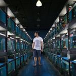 Derrick Gan - @hypebeast1188 - Instagram