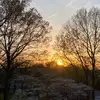 Derrick Gary - @derrick.gary8 - TikTok
