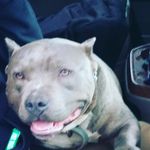 derrick glenn moore - @derrickglennmoore - Instagram