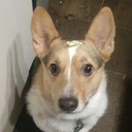 @derrick_goodwin_ - Instagram