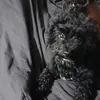 Derrick Grady - @derrick.grady47 - TikTok
