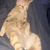 Deee - @deeecharlie - TikTok