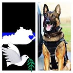 Derrick Harless - @harlessderrick - Instagram