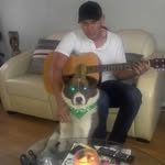 Derrick Harley Willier - @derrickharleywillier - Instagram