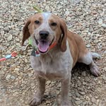 Hefner's Kennel - @hefnerderrick21 - Instagram