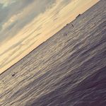 Derrick Hendrickson - @derrick.hendrickson.9655 - Instagram