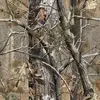 Derrick Highsmith - @derrick.highsmith6 - TikTok
