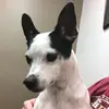 derrickhindsley - @derrickhindsley - TikTok