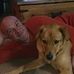 Derrick Hirsch - Facebook