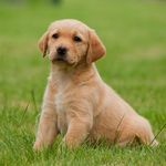 Anwariddrisu - @derrickhoffman_2355 - Instagram