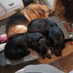Derek Hoffman - Facebook