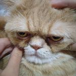 許皓棋 - @derrick.hsu.50 - Instagram
