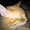 derrick_hubbard- - @derrickhubbard68 - TikTok