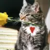 Derrick Huff - @derrick.huff4 - TikTok