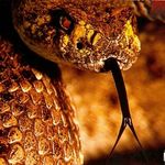 Derrick Huffman - @huffdrac101 - Instagram