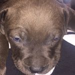 Derrick Jeter - @jeter1674 - Instagram