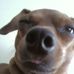 Derrick Kline - Facebook