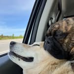 Derrick Kramer - @derrick1_vancouver - Instagram