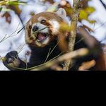 @derrick_lambert - Instagram