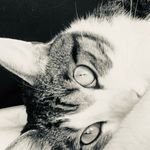 Derrick Lin - @atb3366 - Instagram