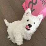 derrick - @derricklinguncle - Instagram